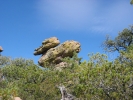 PICTURES/Heart of the Rocks/t_Heart Of Rocks-Duck On A Rock.JPG